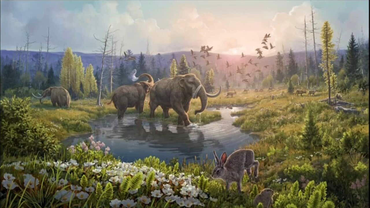 Beth Zaiken's visualisation of Arctic Greenland 2 million years ago (AP-Zaiken).jpg