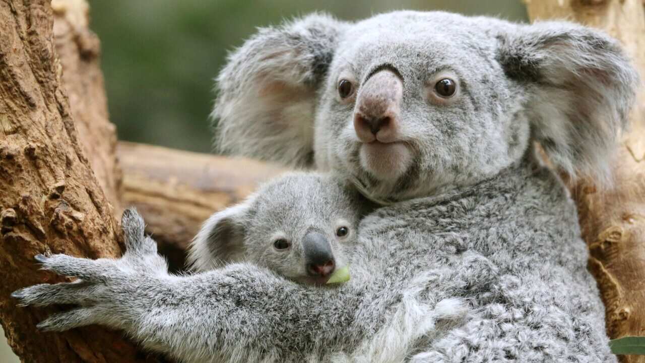 Image for read more article 'READ MORE'