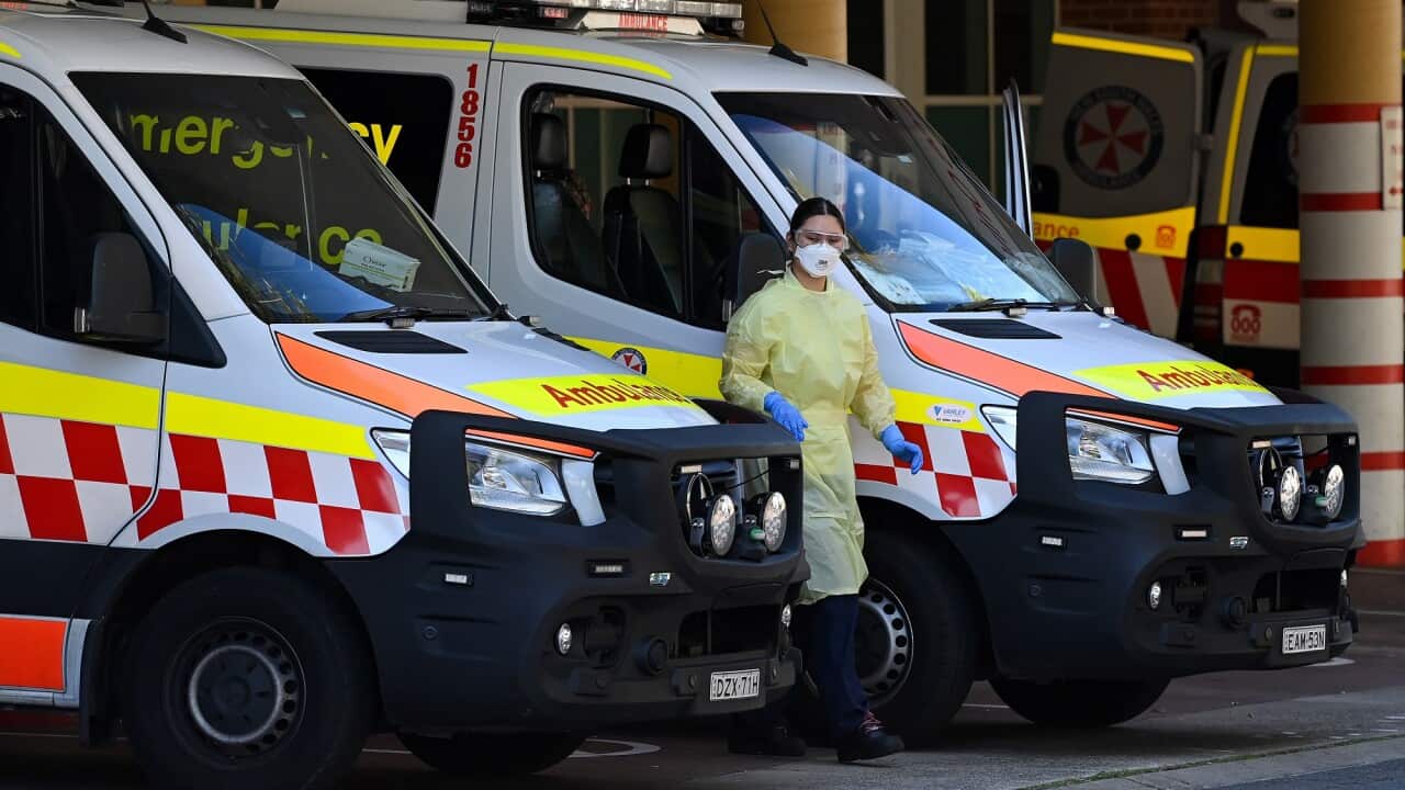 NSW CORONAVIRUS COVID19