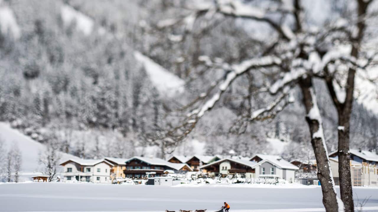A picture taken with a tilt-shift lens shows sled dogs pulling their musher during an international dog sled race in Werfenweng, Austria, 07 January 2017.
