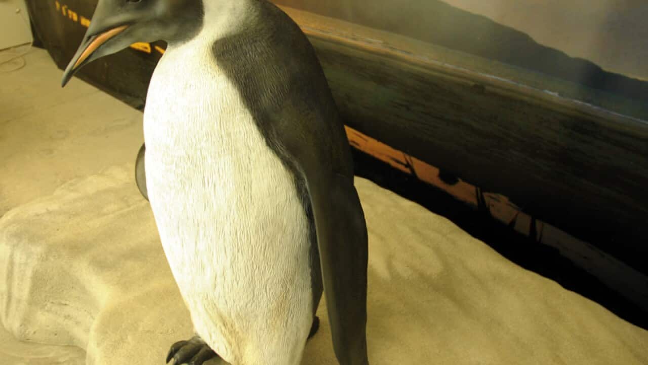 happy_feet_statue_111107_B_AAP_1006174225