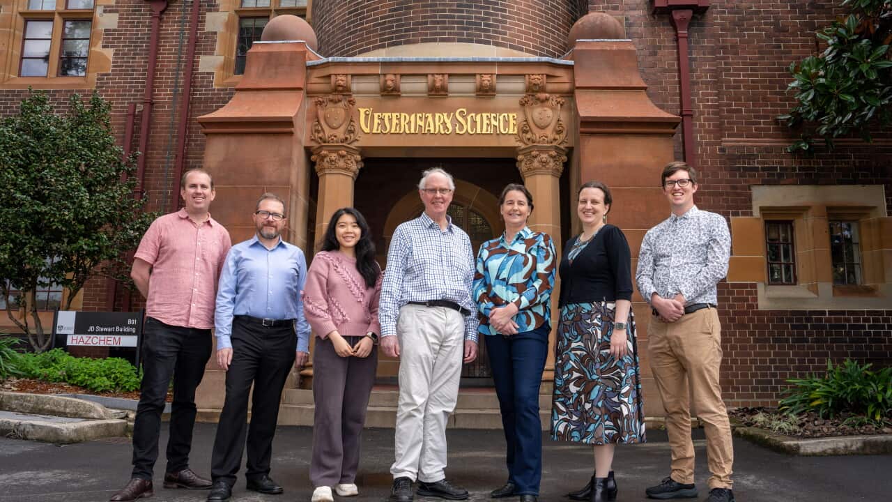 5190-RI35_2026_06_29 (130031_PS) USYD EUREKA OMIA vet sci JD Stuart (100_).jpg