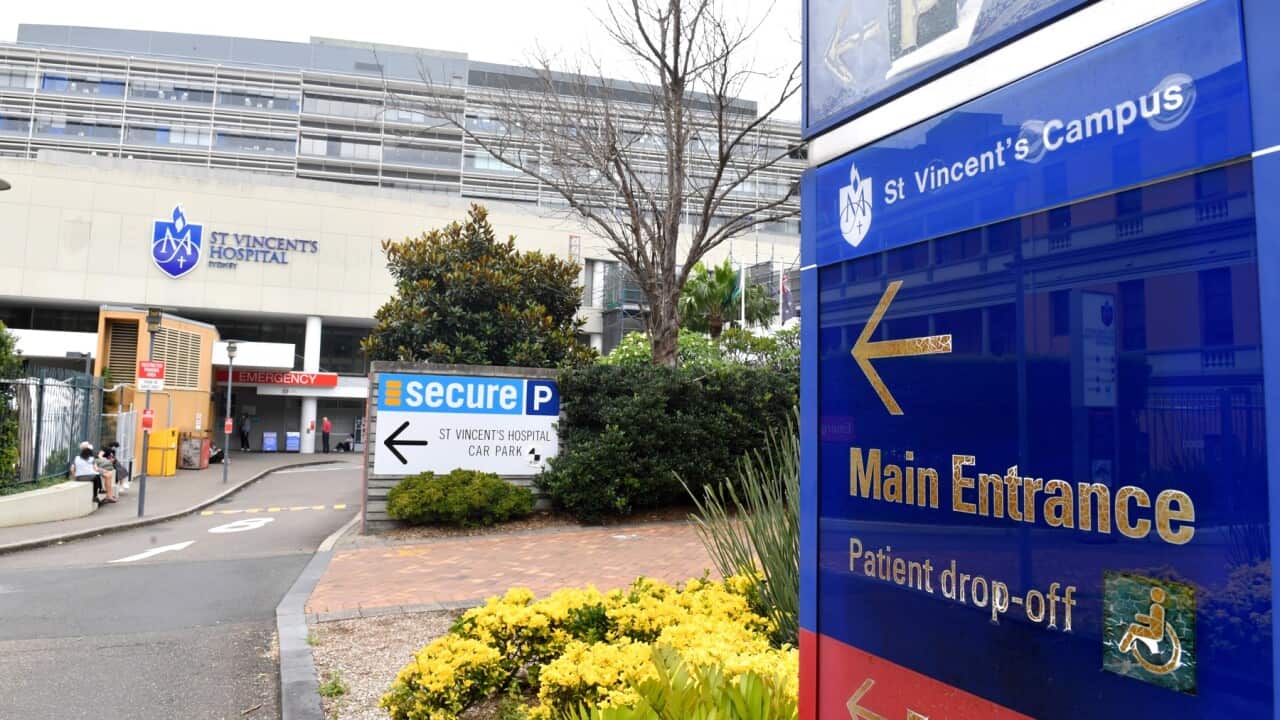 ST VINCENTS HOSPITAL STOCK