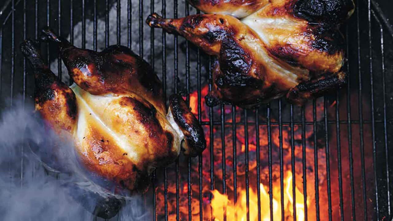 Roast shio-kuji chicken