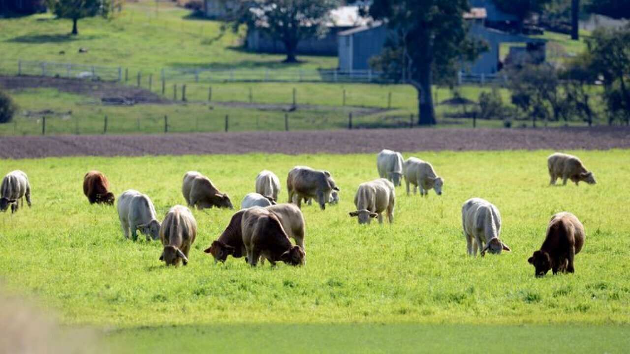 Highborne Farm property near Allora in the southern Darling Downs, Queensland