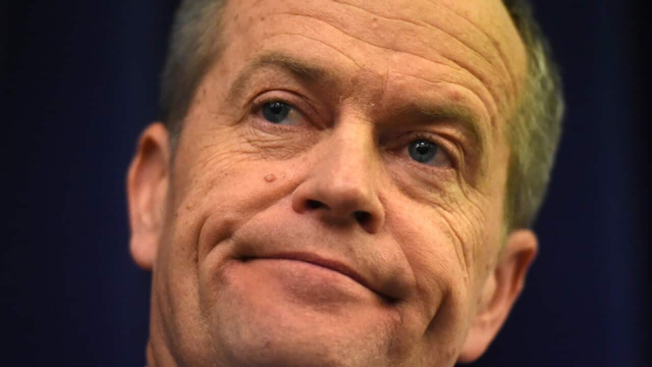 Federal Leader of the Opposition Bill Shorten