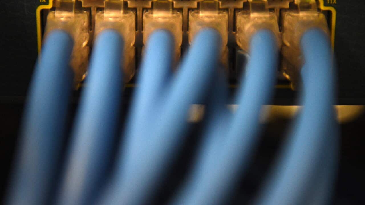 Ethernet data cables