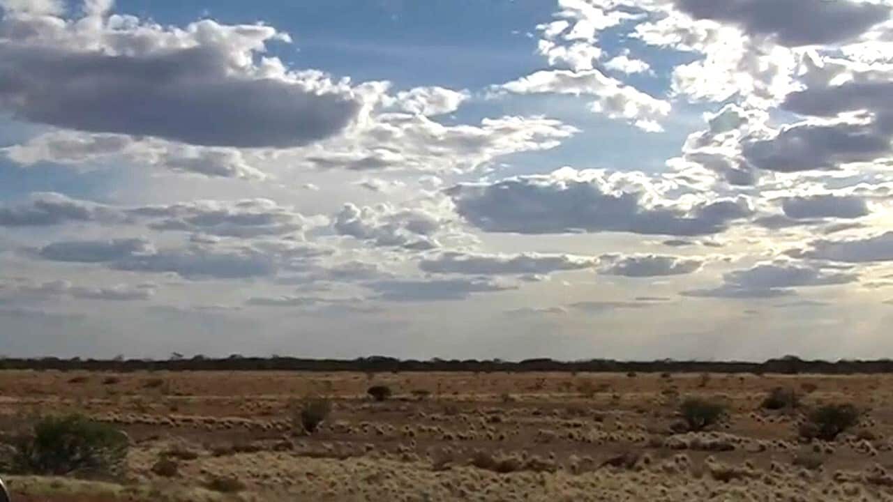 Northern Territory landscape (SBS)