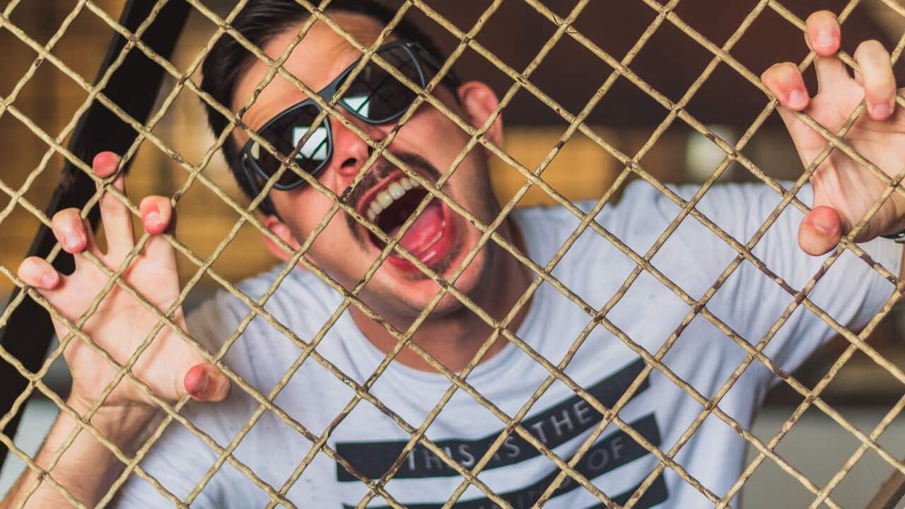 Image for read more article ''