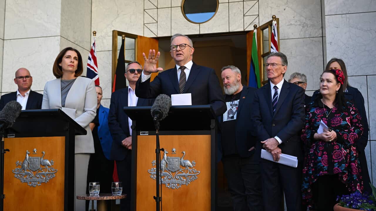 ANTHONY ALBANESE DIGITAL DUTY OF CARE PRESSER