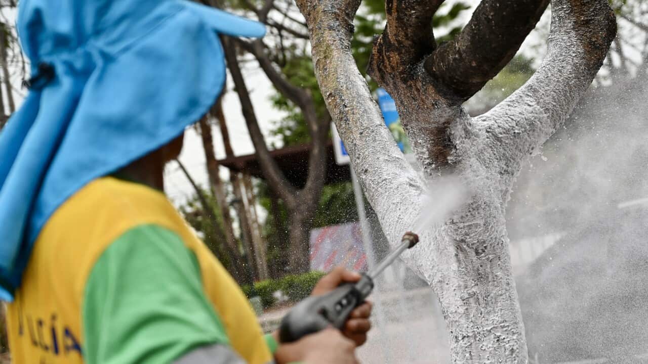 Image for read more article 'READ MORE'