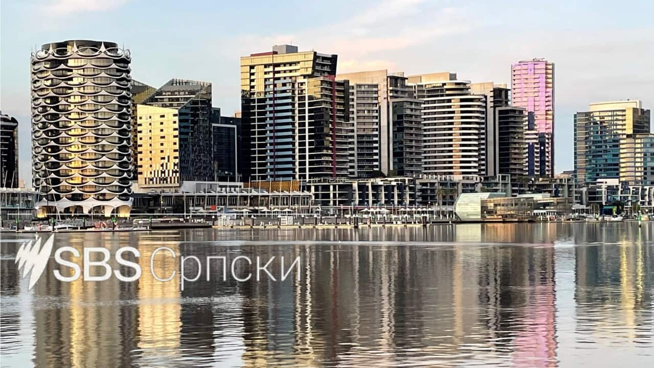 Serbian News Docklands Melbourne.jpg