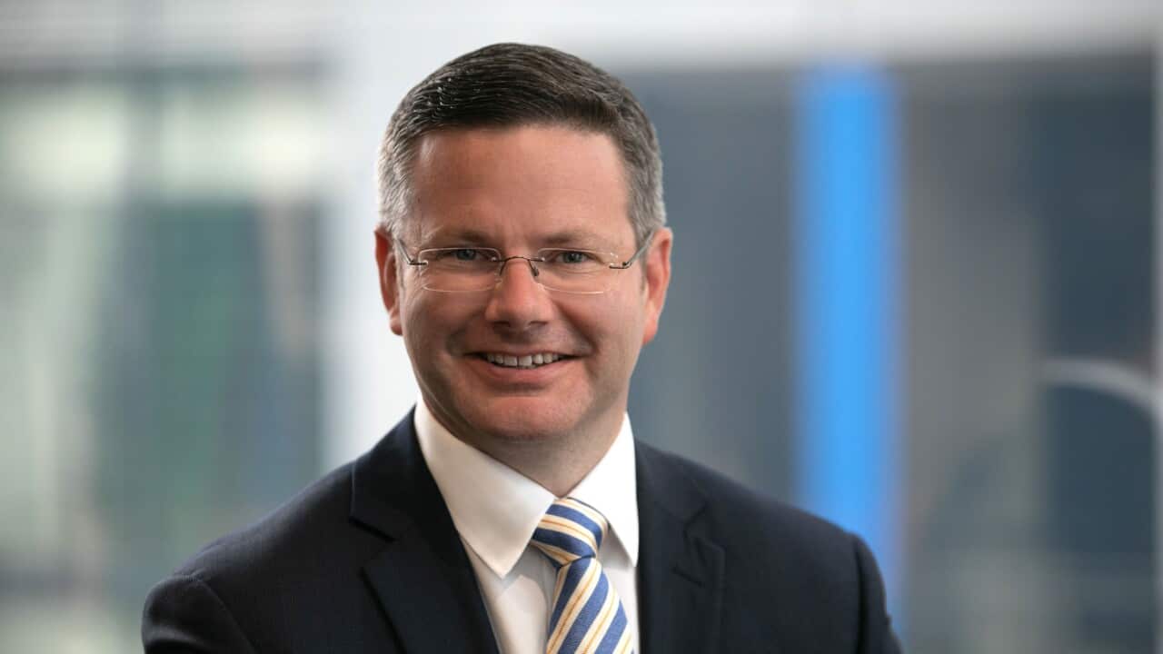 NSW Minister for Multiculturalism, Mark Coure.jpg