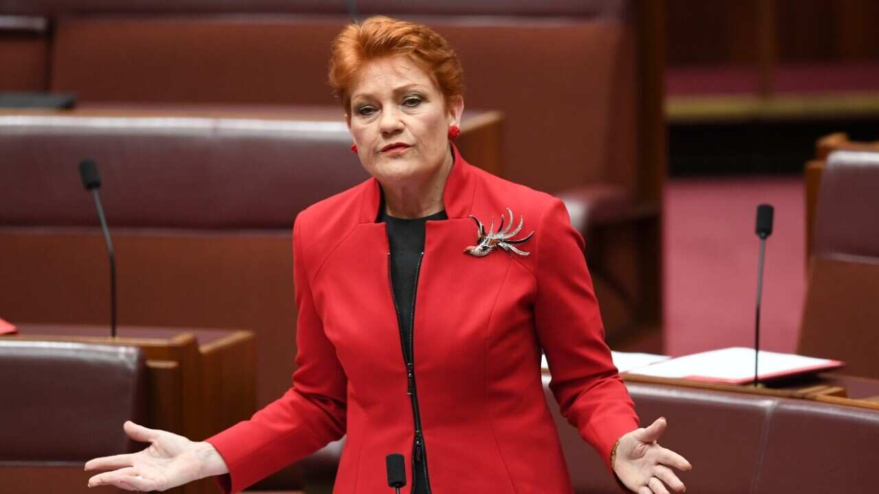 One Nation Senator Pauline Hanson speaks during the Same Sex Marriage debate in the Senate chamber at Parliament House in Canberra, Tuesday, November 28