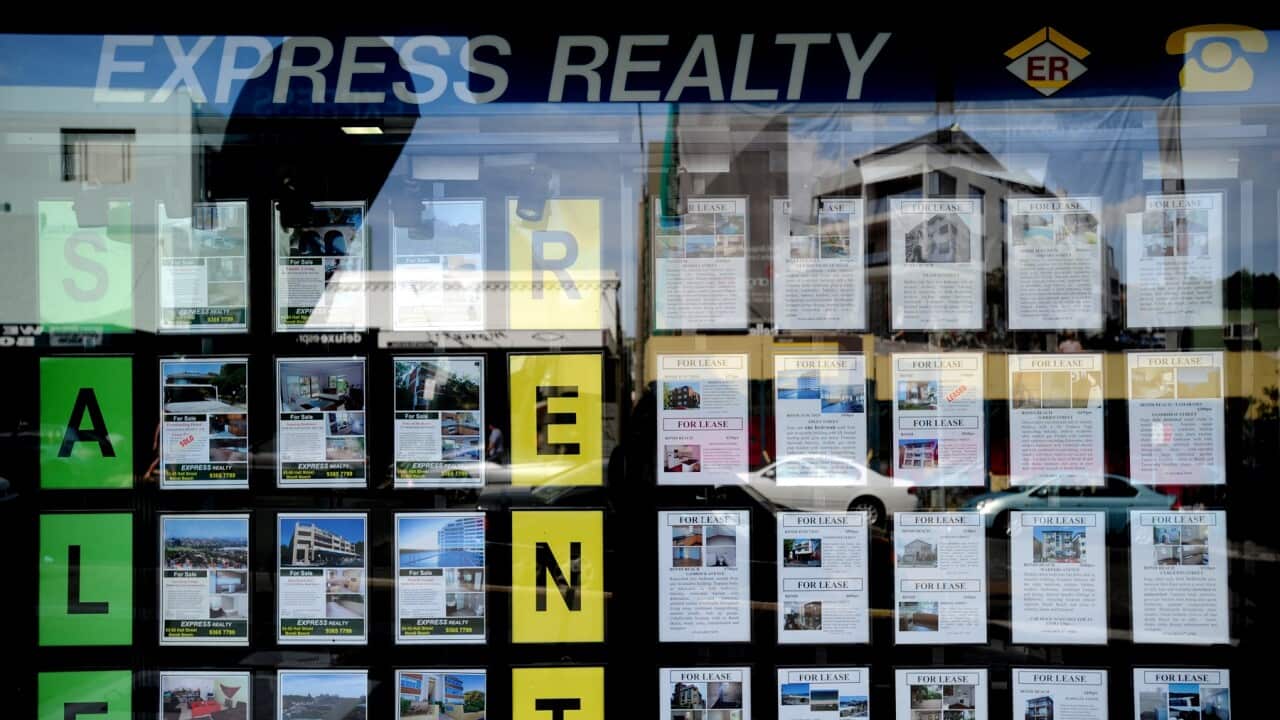 REAL ESTATE AGENT STOCK