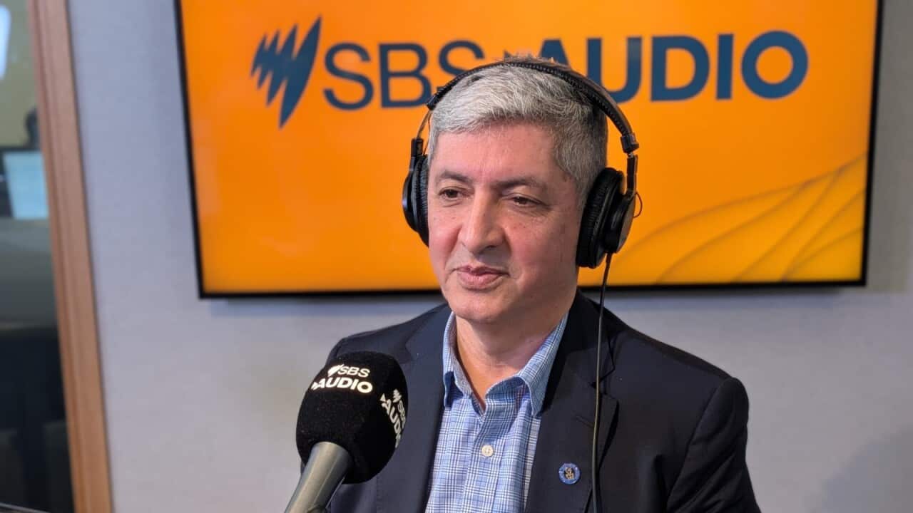 WhatsApp Image 2026-03-11 at 2.13.03 PM.jpeg