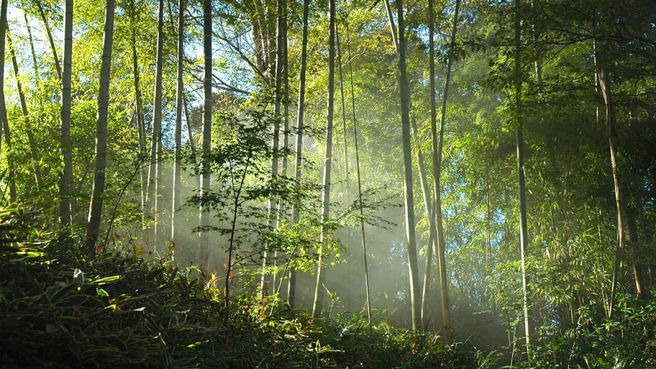 Image for read more article ''