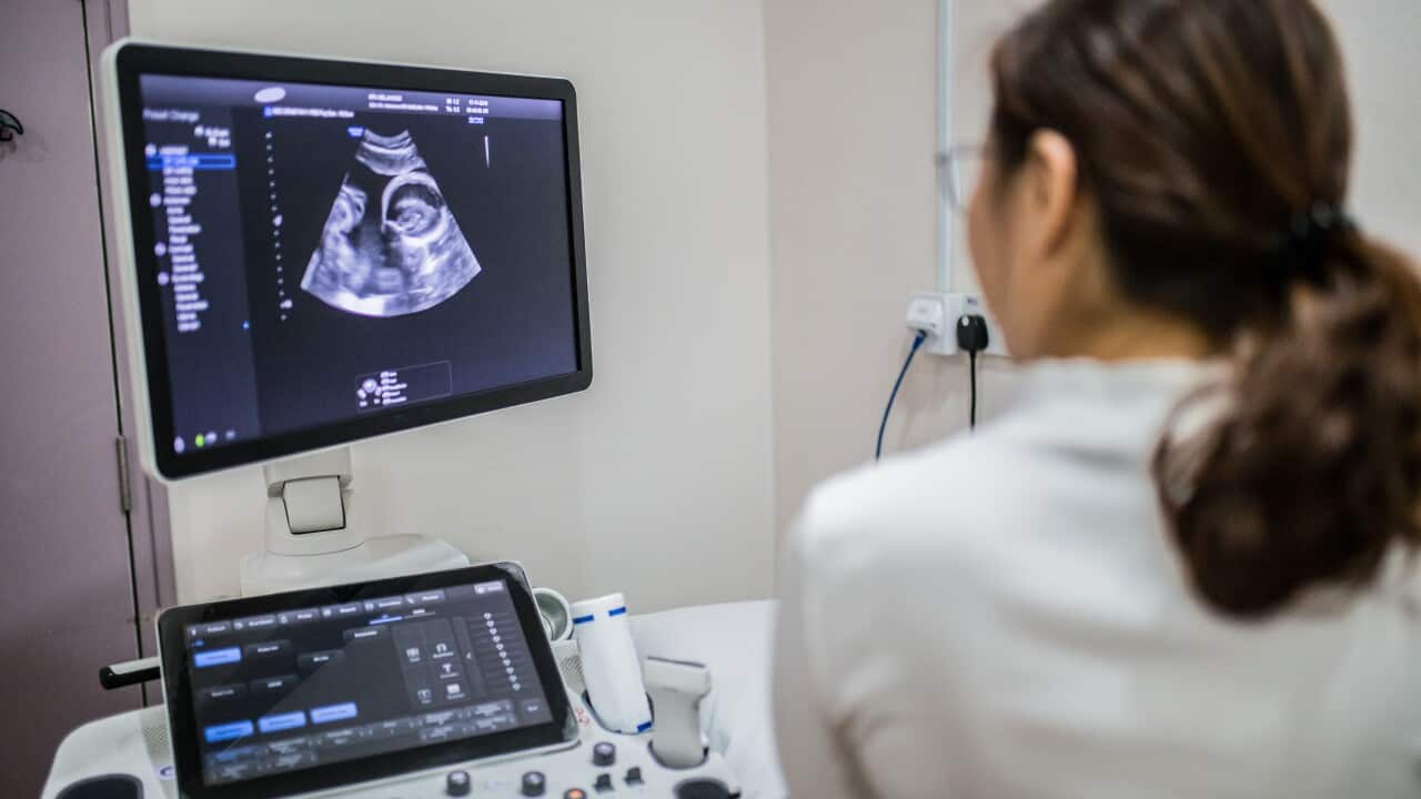 A doctor conducting an ultrasound.