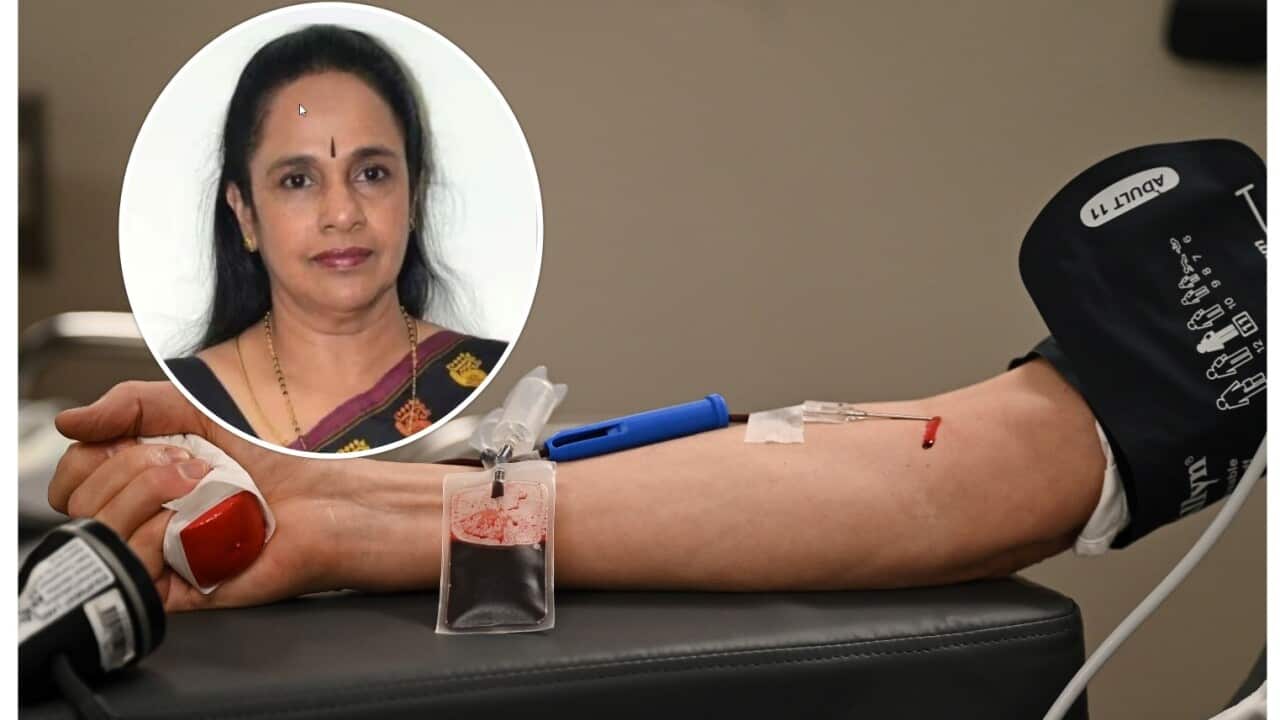 blood donation.jpg