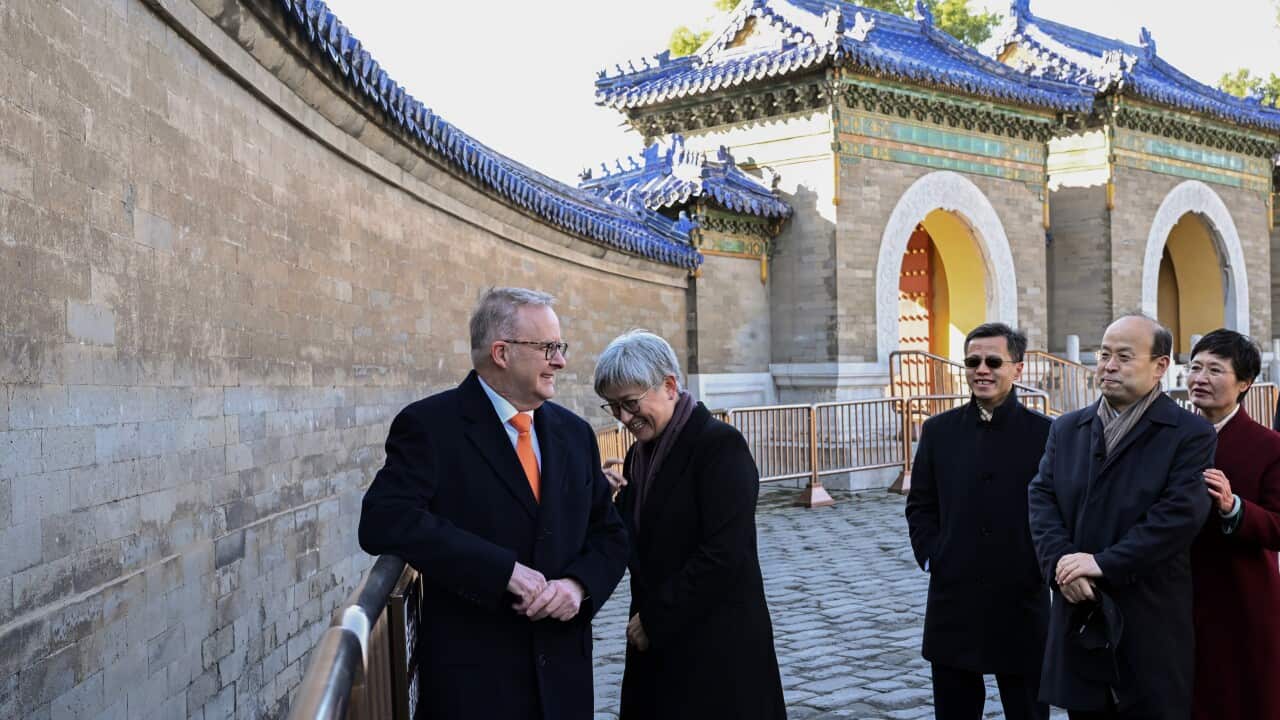 ANTHONY ALBANESE CHINA TOUR