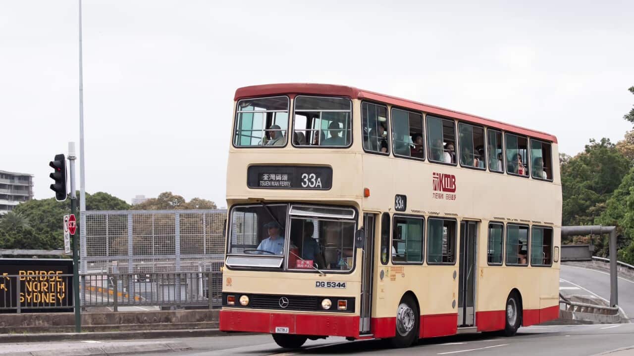 熱狗 440371927_846315747537629_5179664818955358368_n.jpg