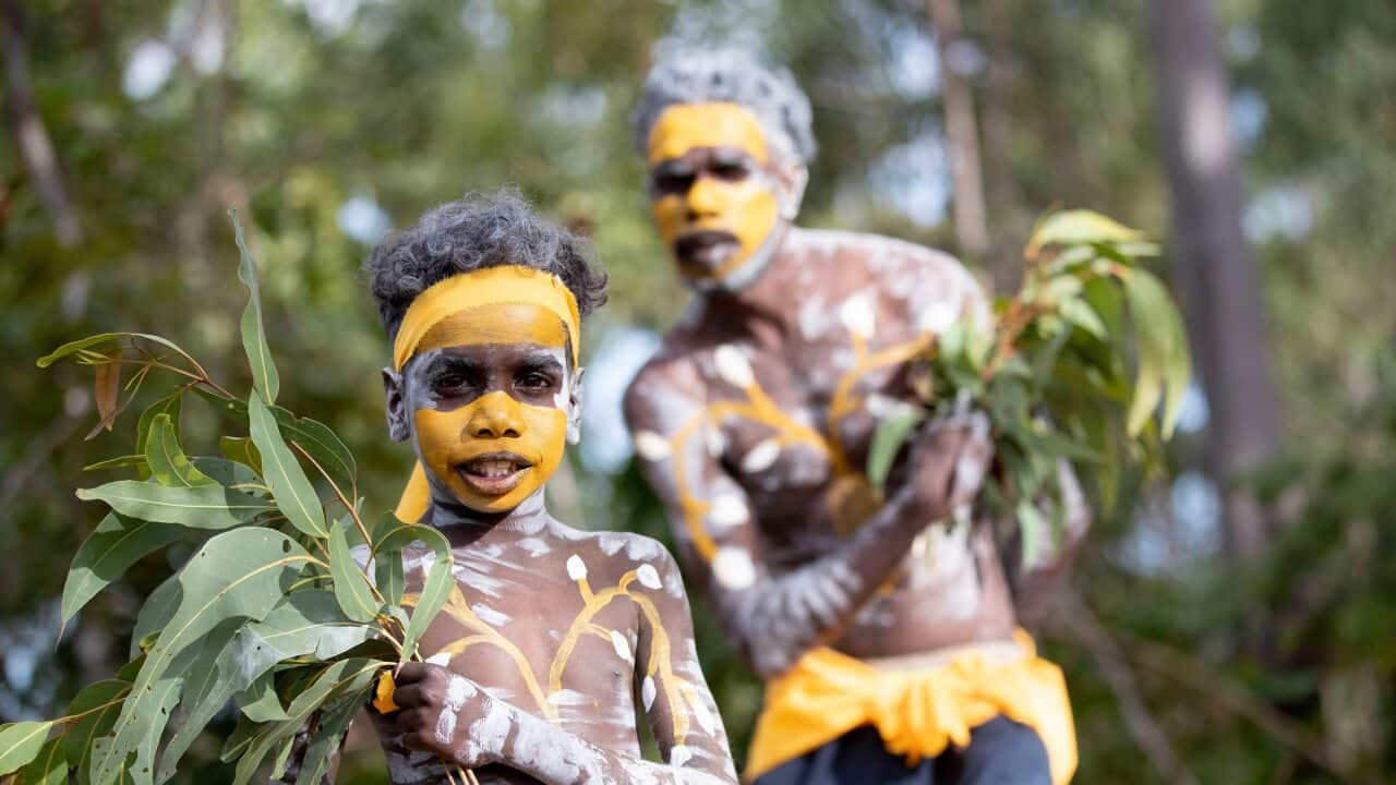 Members of the Gumatj clan prepare for their traditional dance at the Garma Festival in Arnhem Land earlier this year.