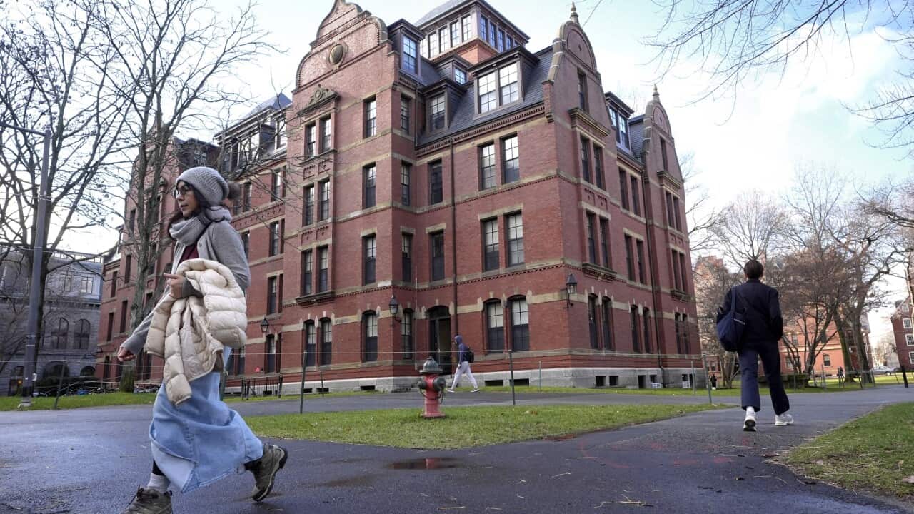 Education Trump Harvard