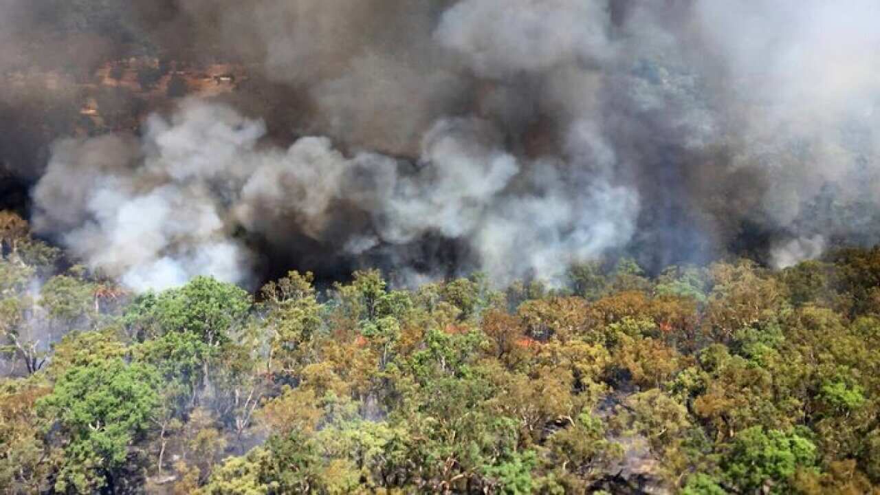 New South Wales Rural Fire Service smoke billows from a wildfire burning near Mudgee, (NSW Rural Fire Service via AP)