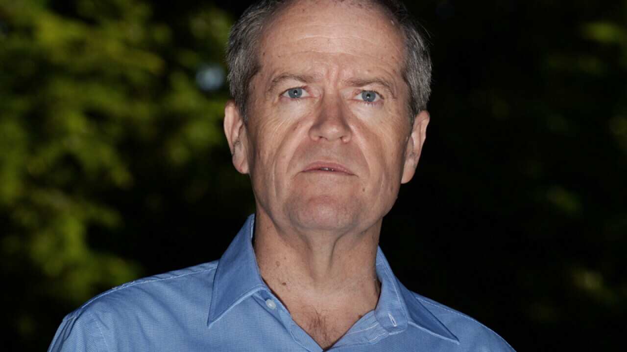 Leader of the Opposition Bill Shorten