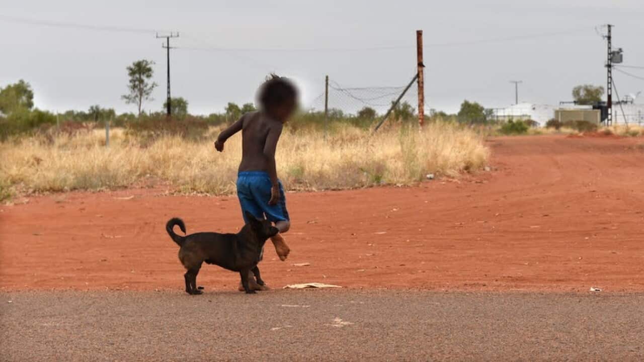 child indigenous suicide
