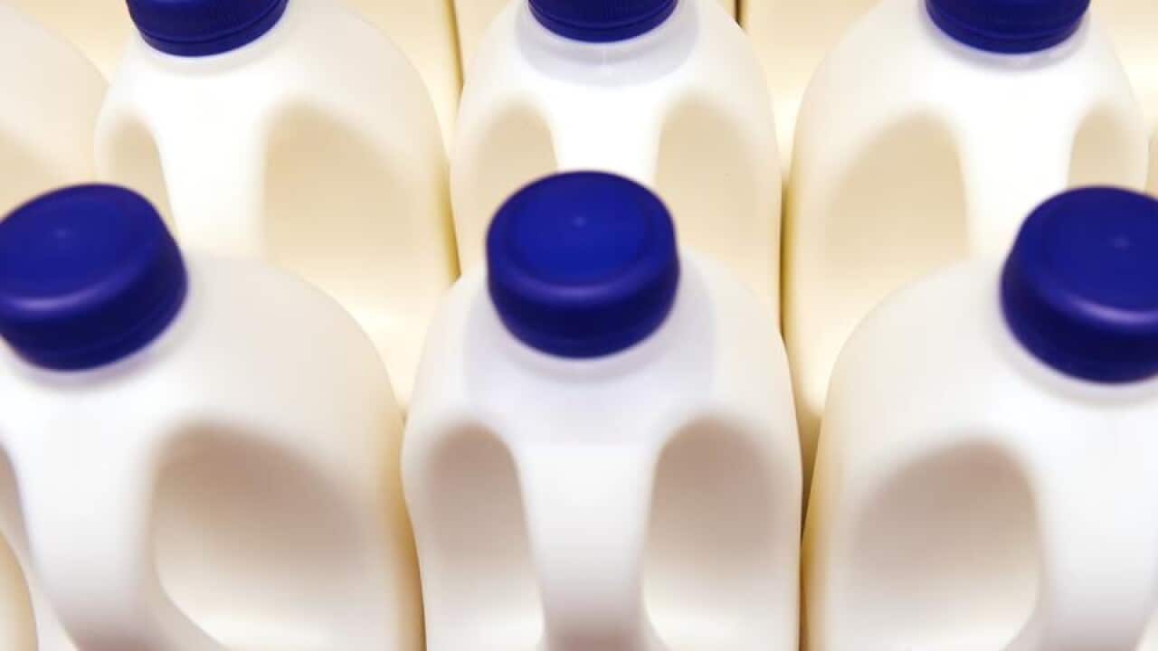 Bottles of milk are displayed in a fridge.