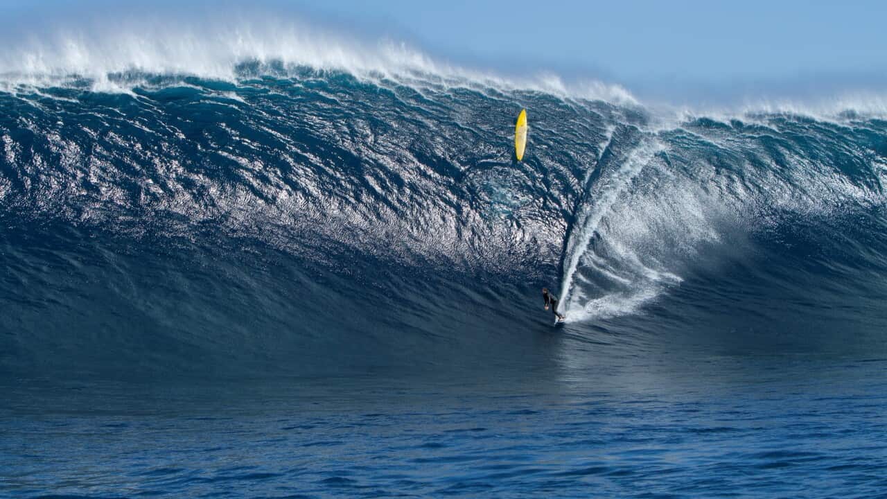 A work by photographer Jamie Scott Frontier Surfing', an exhibition that tracks WAs early surfing history at Fremantle Arts Centre. (Jamie Scott)