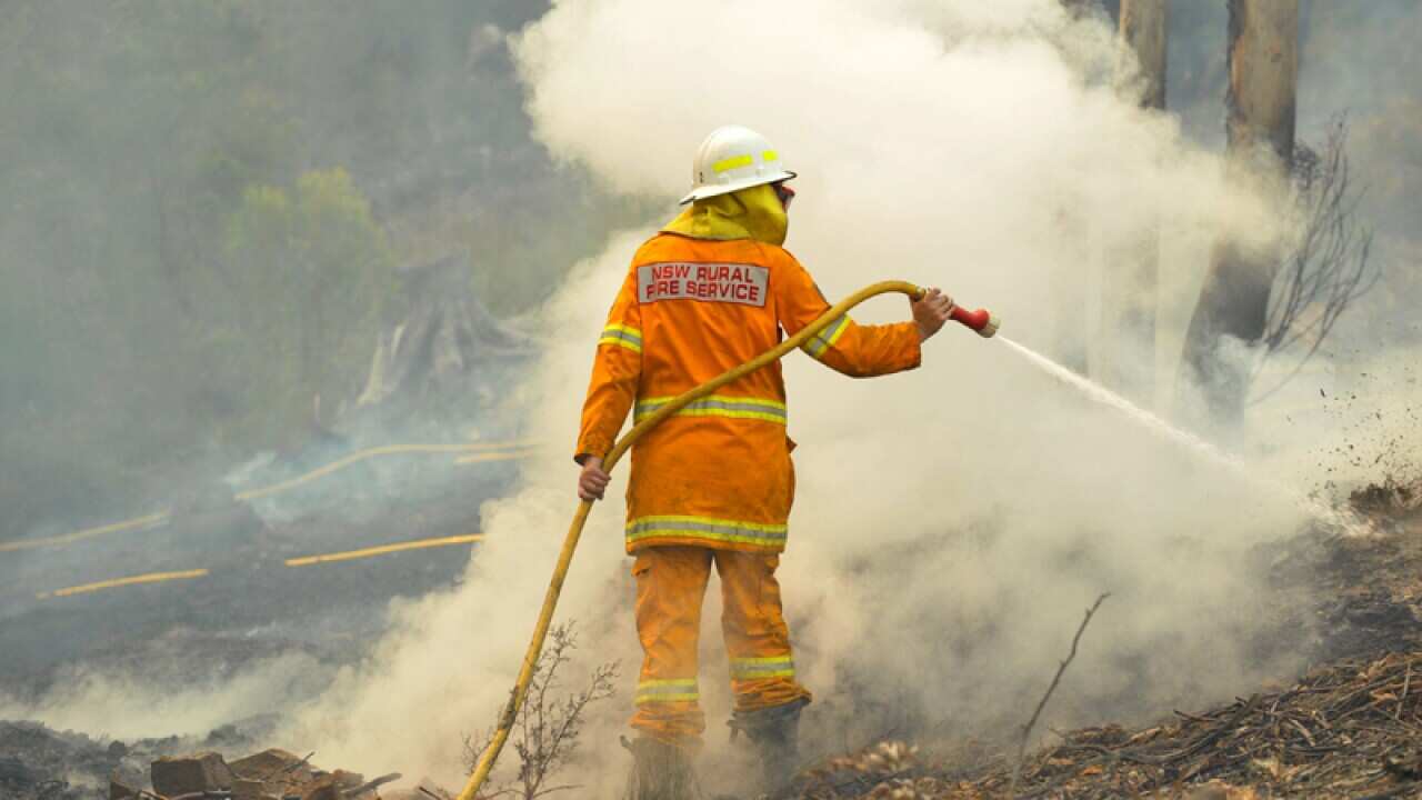 A NSW Rural Fire Service volunteer puts out a spot fire