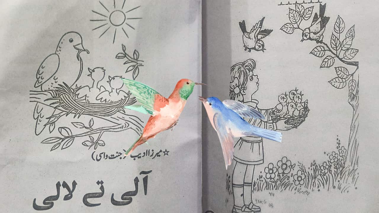 Image for read more article ''