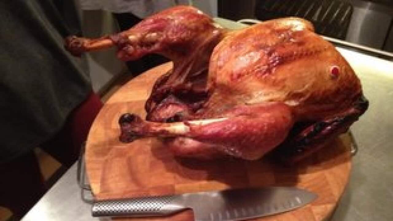 Image for read more article 'READ MORE'