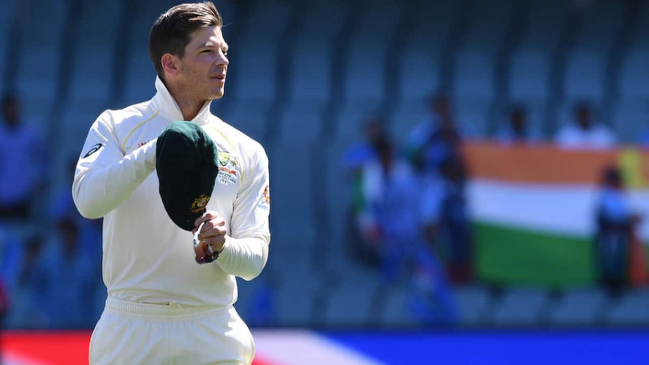 Tim Paine ... looking for a different kind of success