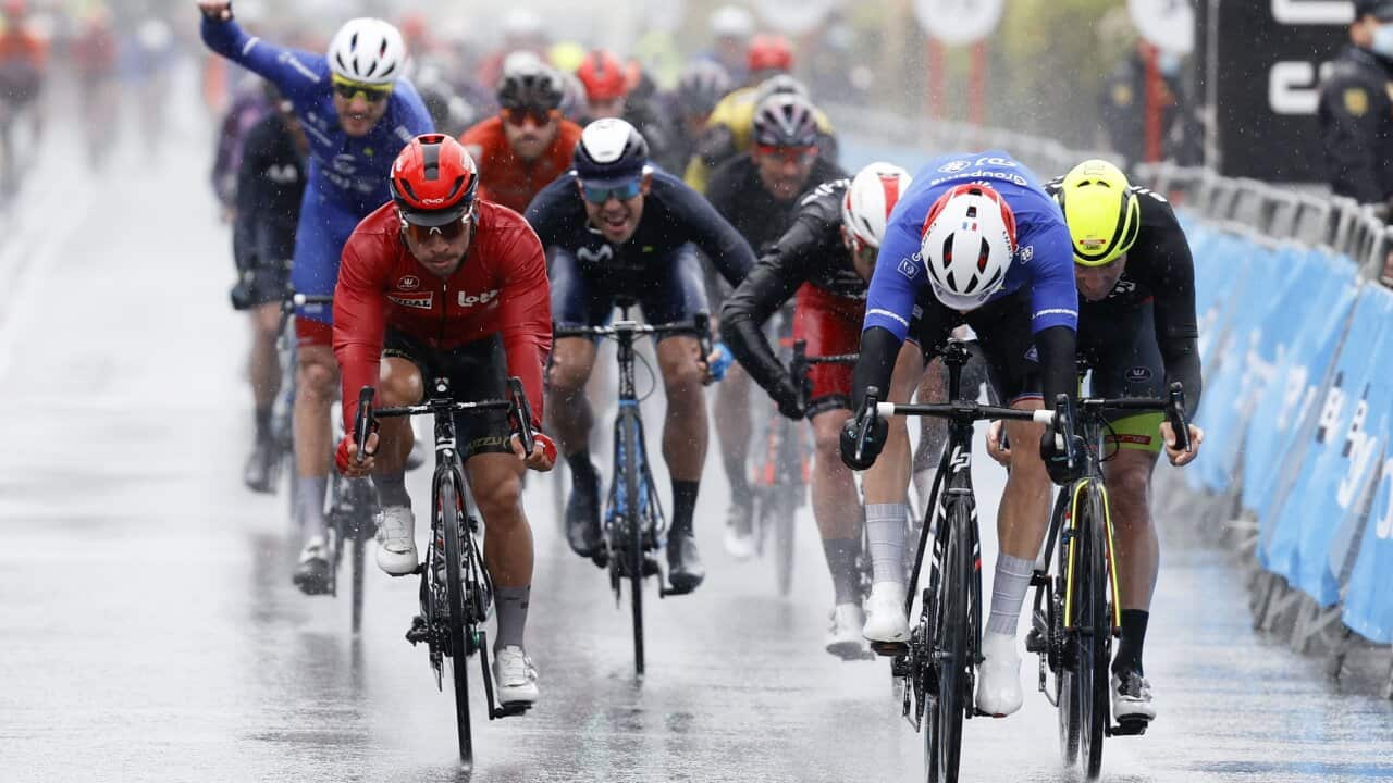Arnaud Demare, Caleb Ewan