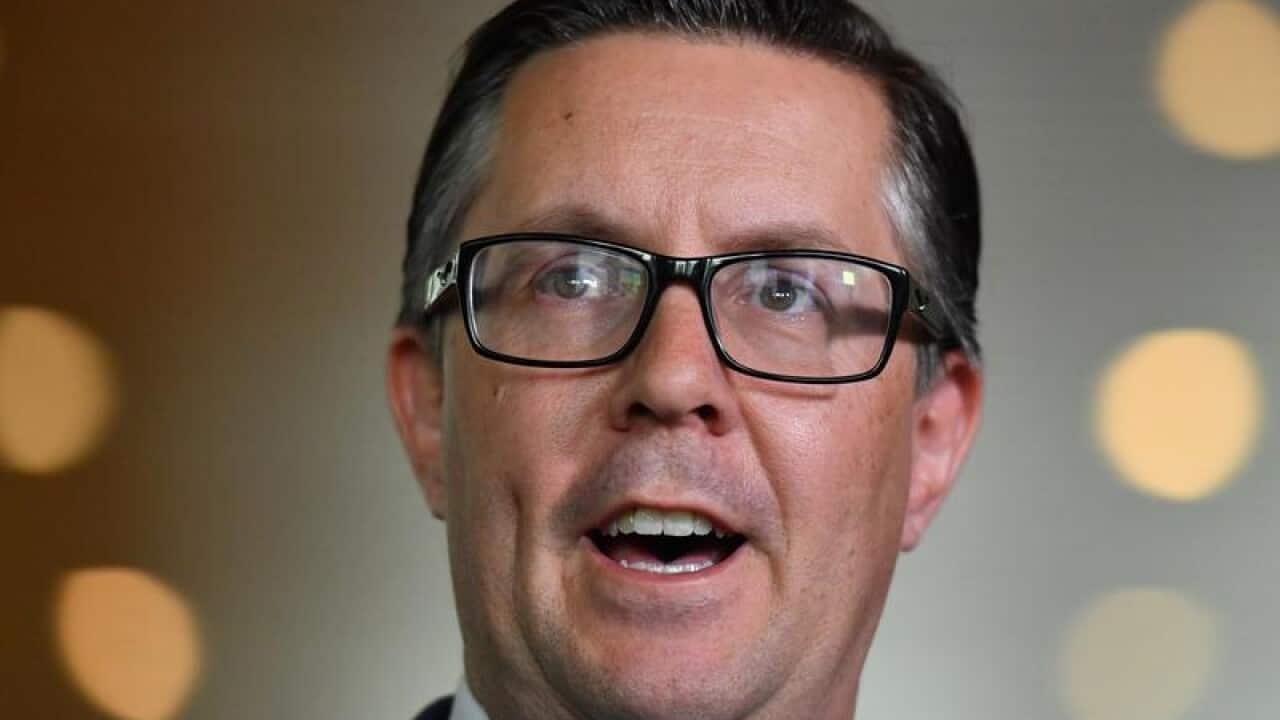 Labor frontbencher Mark Butler.
