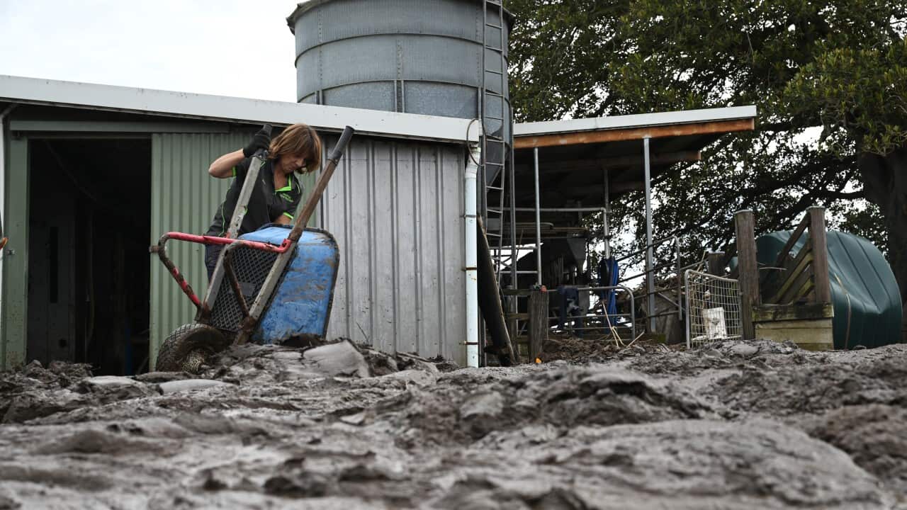 NSW FLOODS