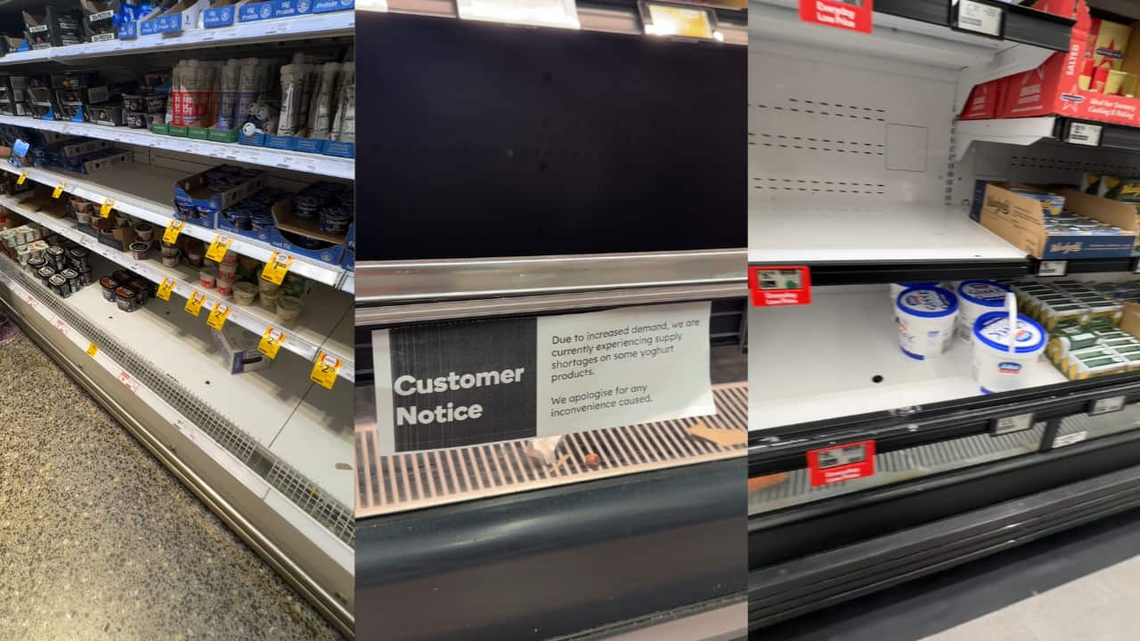 A composite image shows mostly empty grocery store refrigerator shelves with a customer notice stating that increased demand has caused supply shortages for some yoghurt products.