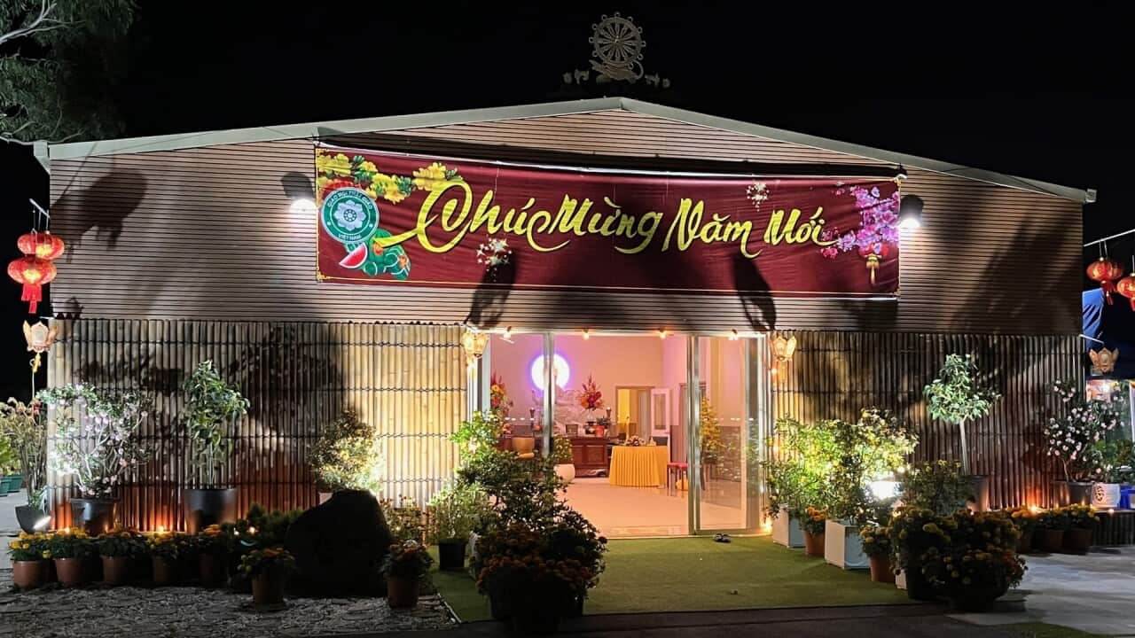 Tieu Dao main photo 1.jpg