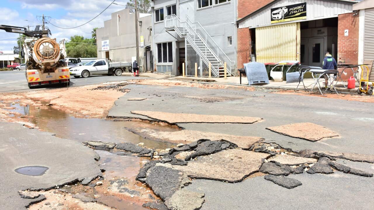 Image for read more article 'Lee también:'