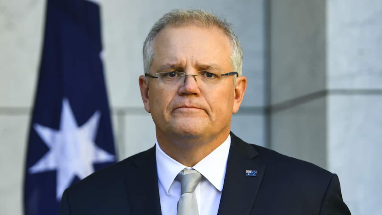Prime Minister Scott Morrison this week.