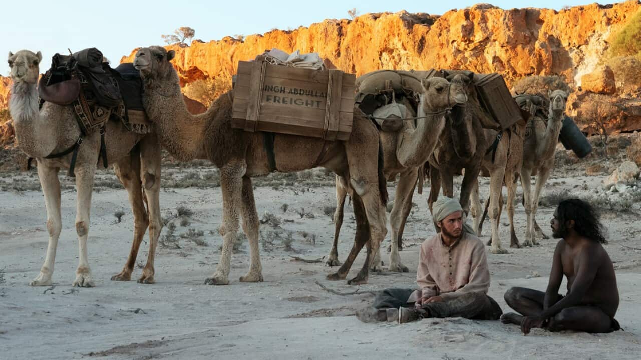 Image for read more article 'READ MORE'