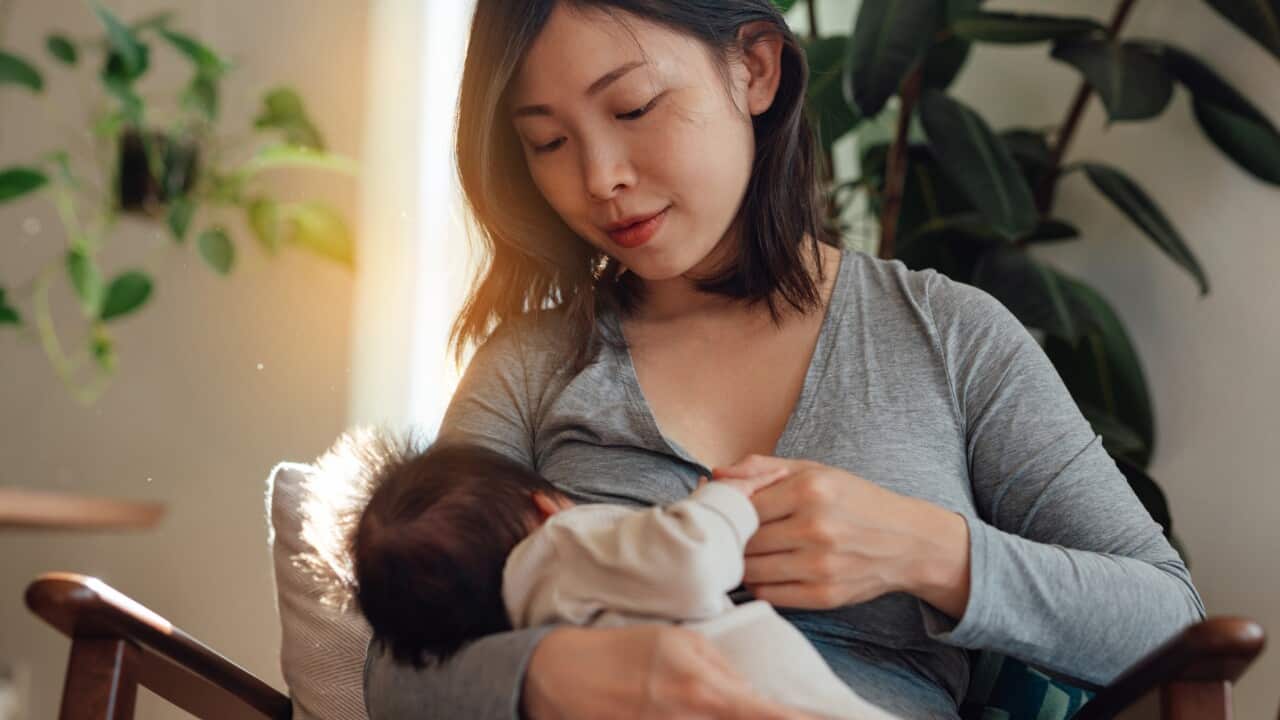 Mother breastfeeding baby on arm chair in living room