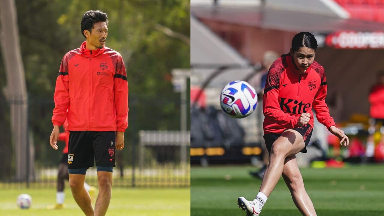 Image for read more article ''