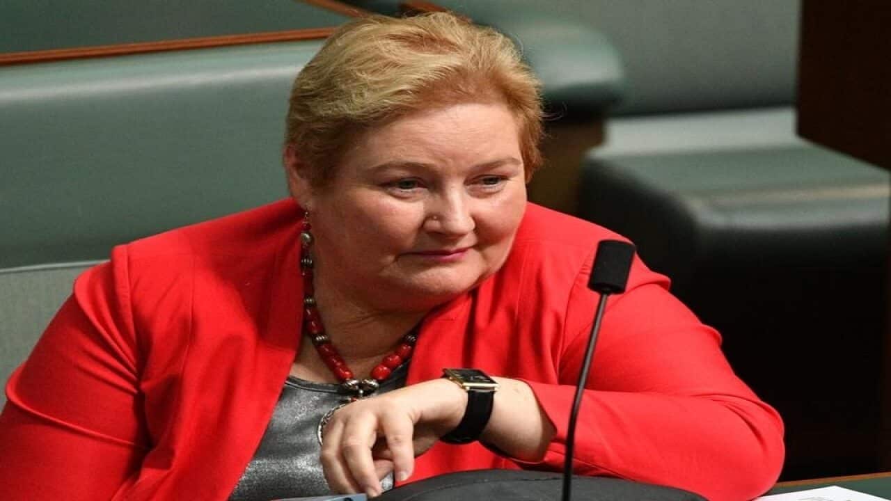 Liberal Member for Gilmore Ann Sudmalis.