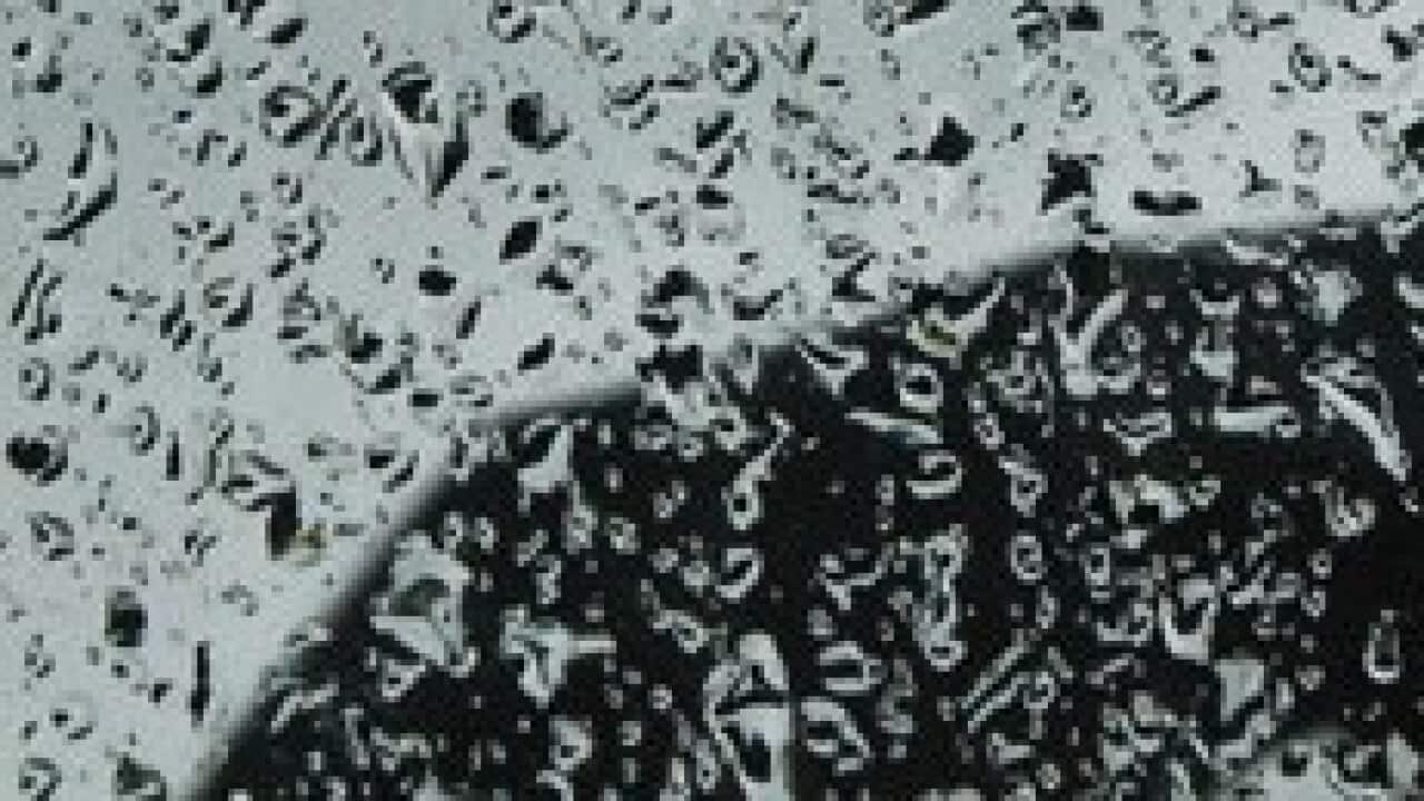 Lluvias torrenciales