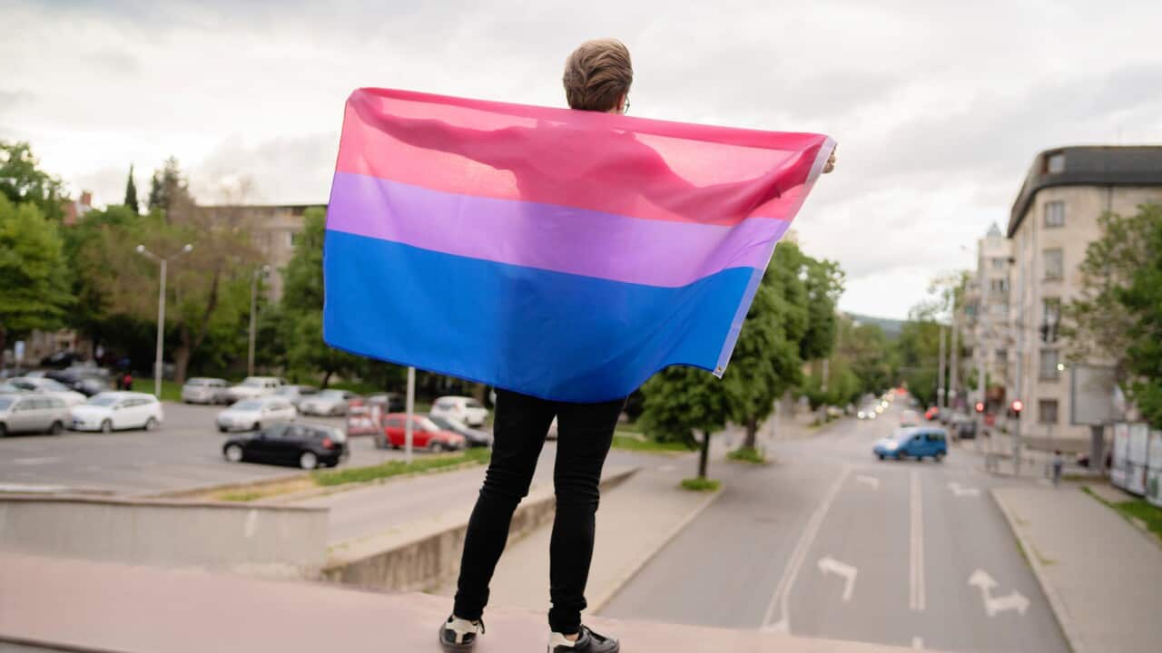 A figure holding the bisexual flag, overlooking a cityscape.