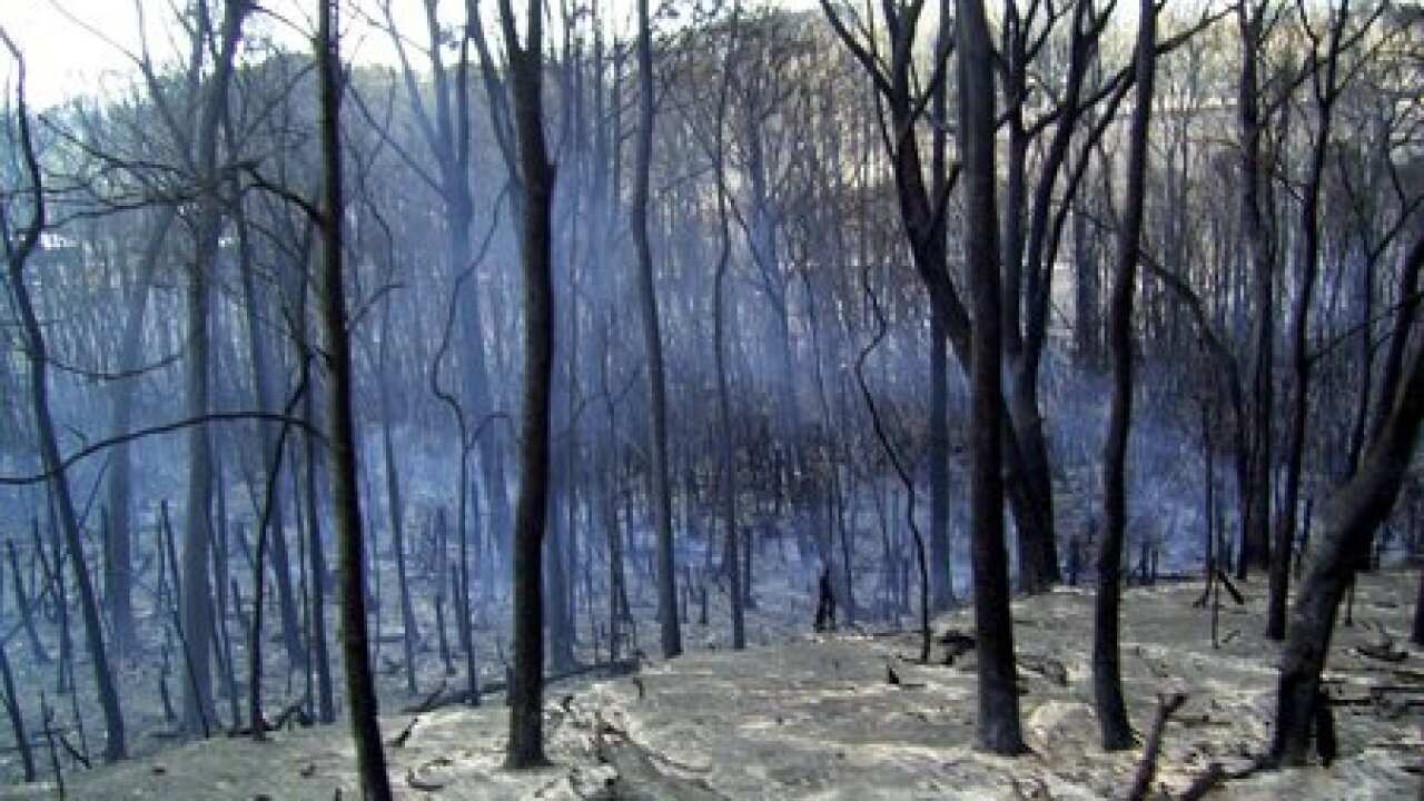 bushfires black saturday
